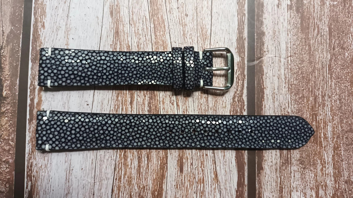 エイ stingray – VGreen