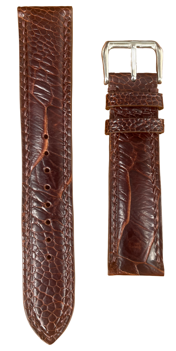 ostrich_a867bb72-367d-4b5c-
