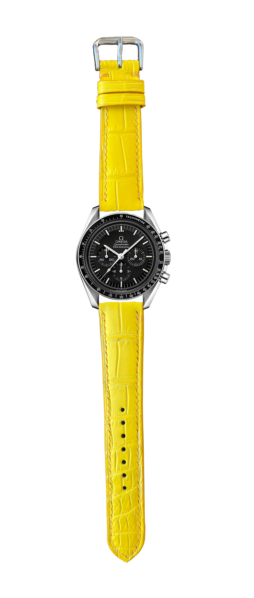 yellowalligator2_1200x1200.png