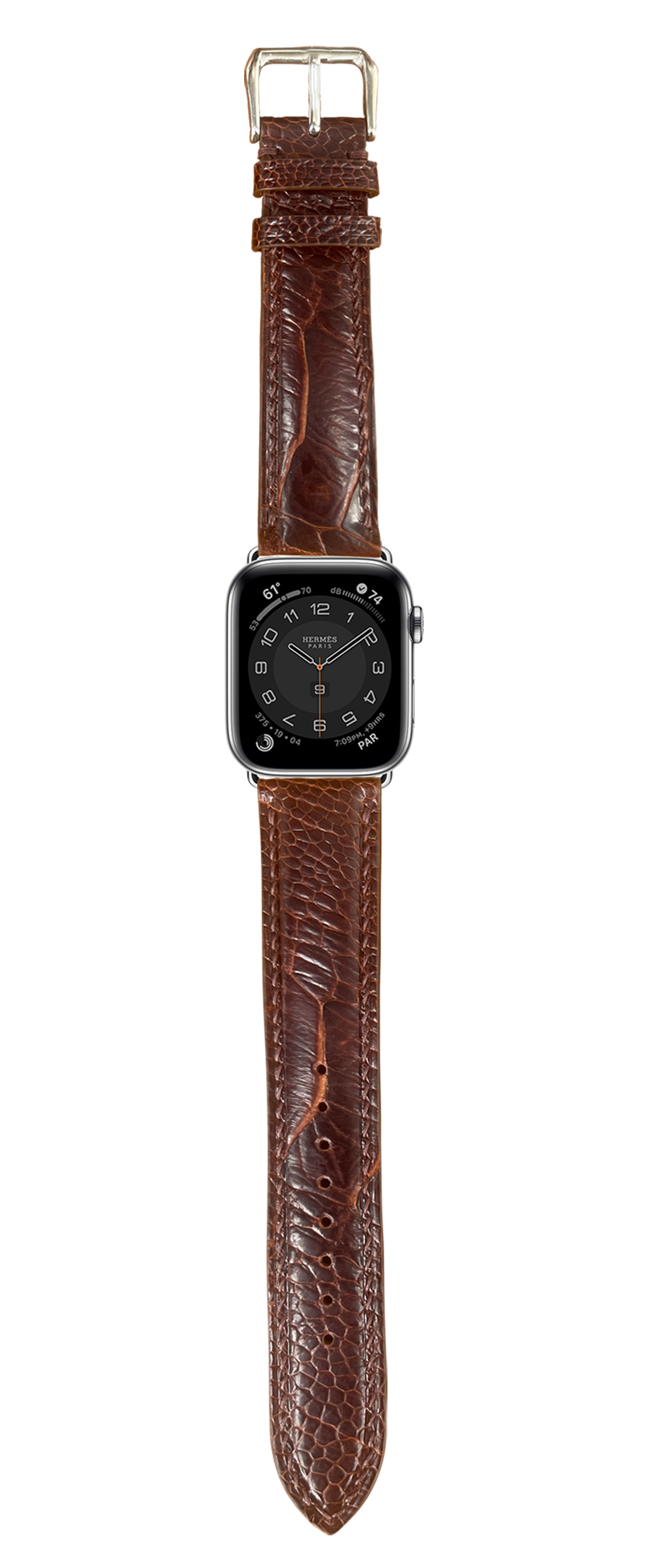 オーストリッチレッグレザー 腕時計ベルト - ダークブラウン – VGreen オーストリッチレッグレザー 腕時計ベルト - ダークブラウン – VGreen